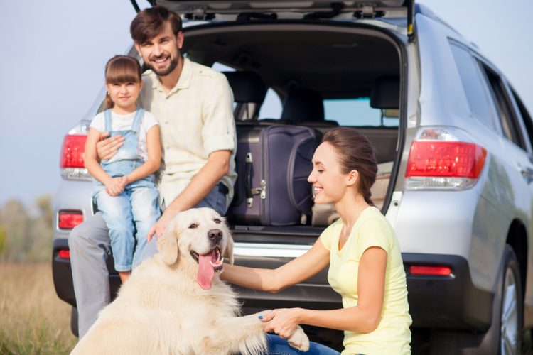 Cheerful family is resting in the nature and smiling. The father and his daughter are sitting in open car boot and embracing. The woman is kneeing and playing with dog